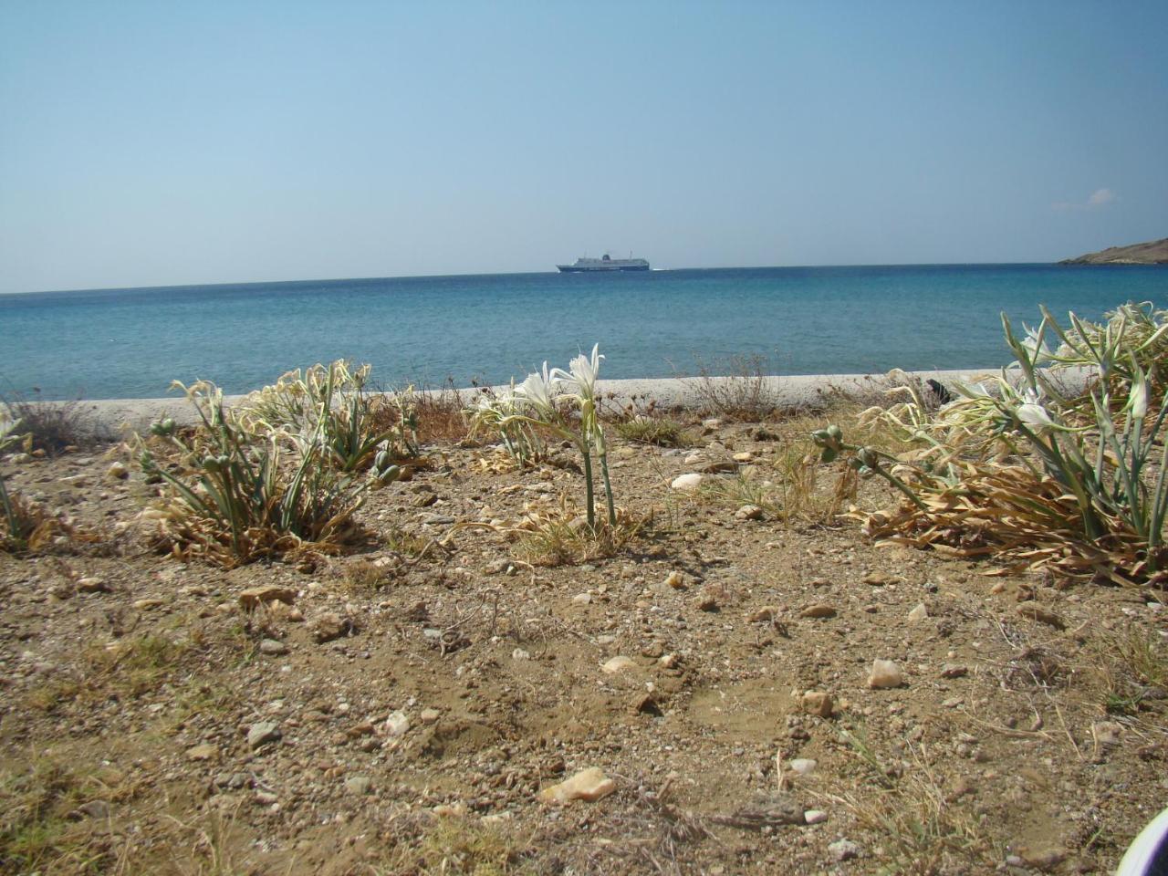 Vrahos Studios Kionia Luaran gambar